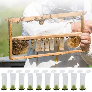 1 Комплект Пчелните Инструменти Клетки King Queen Bee Ловецът За Пчеларството Система На Отглеждане Cupkit Скоростна Мобилни Чаша Клетка Nicot Apicultura Пълен Комплект